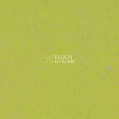 Линолеум Forbo Marmoleum Decibel on Order 374235 green glow фото 1 | FLOORDEALER